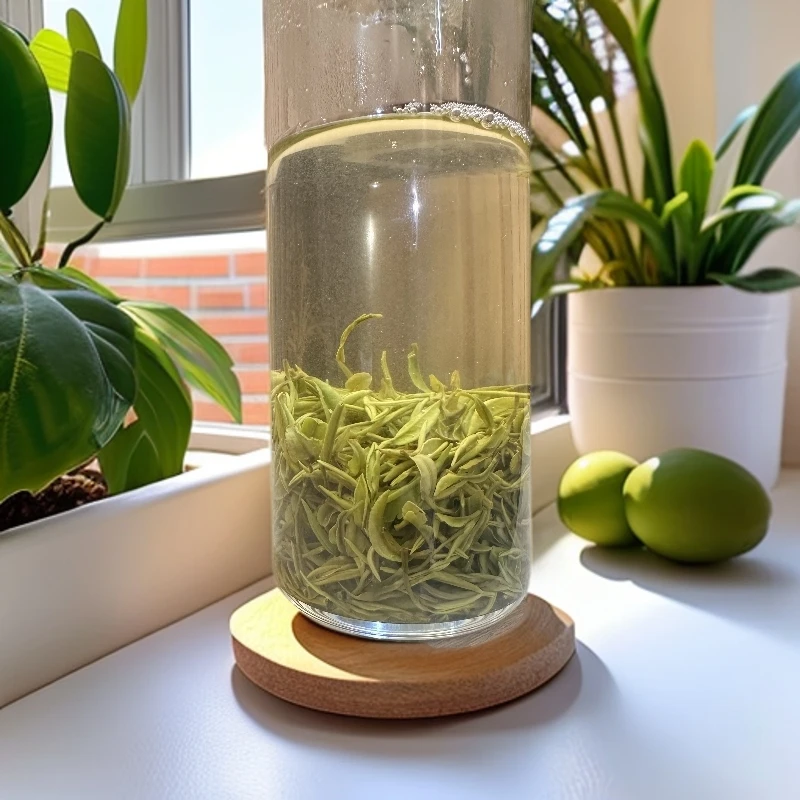 信阳毛尖旱茶特级嫩芽