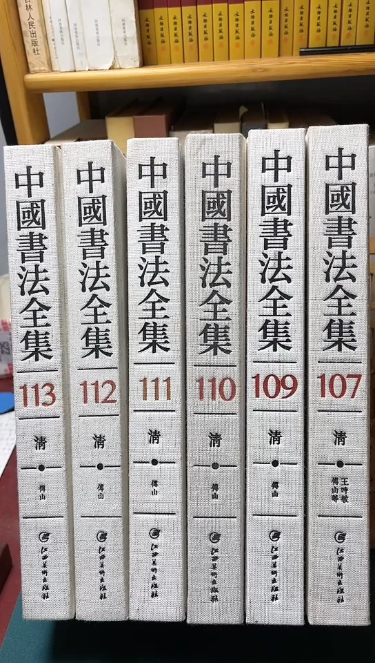 中国书法全集107.109.110.111.112.113傅山共六本