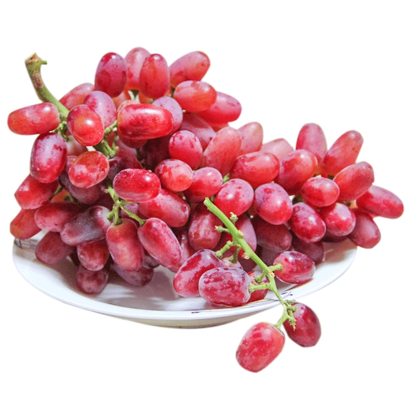 克伦生无籽提500g
