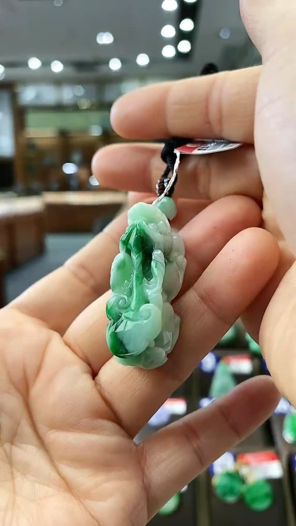 【闪购商品】翡翠颈饰未镶嵌貔貅