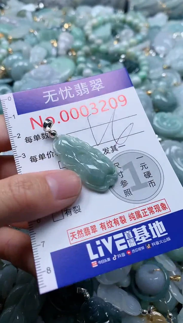 翡翠未镶嵌吊坠(不含链)3209