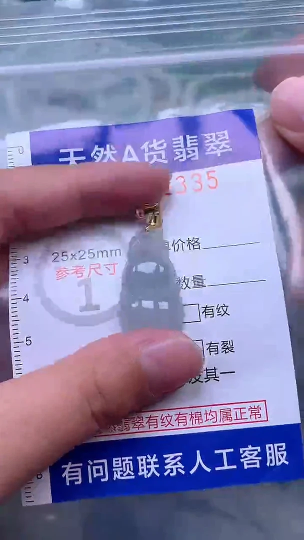 吊坠(赠链)未镶嵌翡翠1
