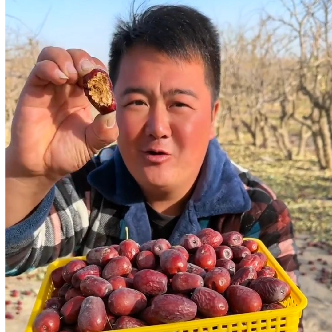 25年新疆和田大枣2/5斤包邮8-10成干产地直发