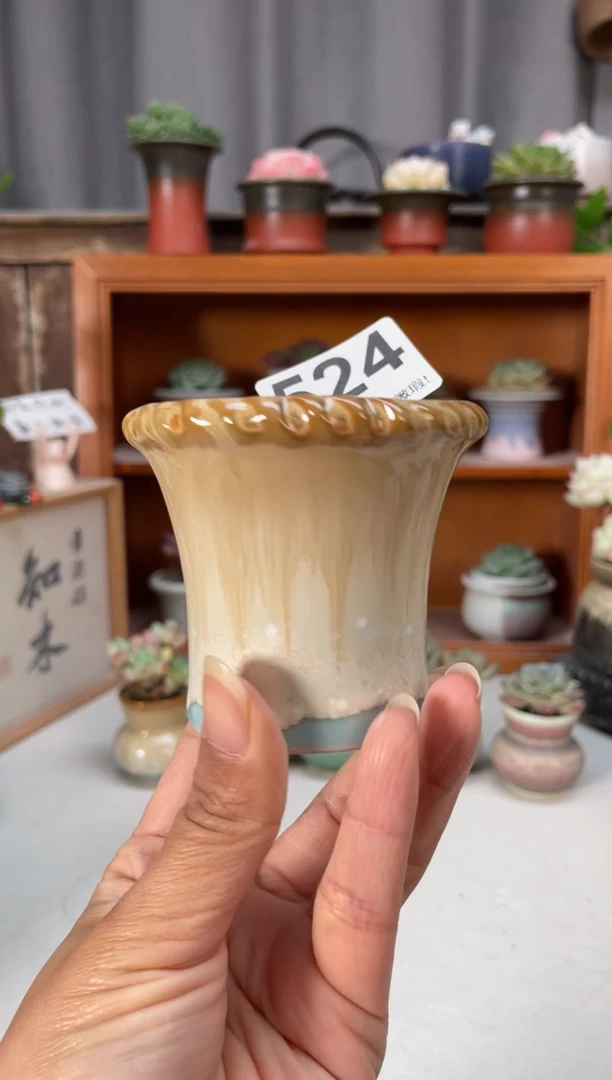 瓷片524小芳直播编号