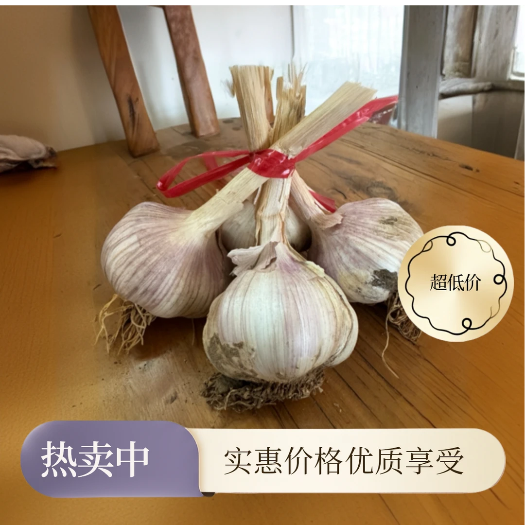 新鲜紫皮干头蒜辛辣好吃厨房炒菜优质生鲜大蒜