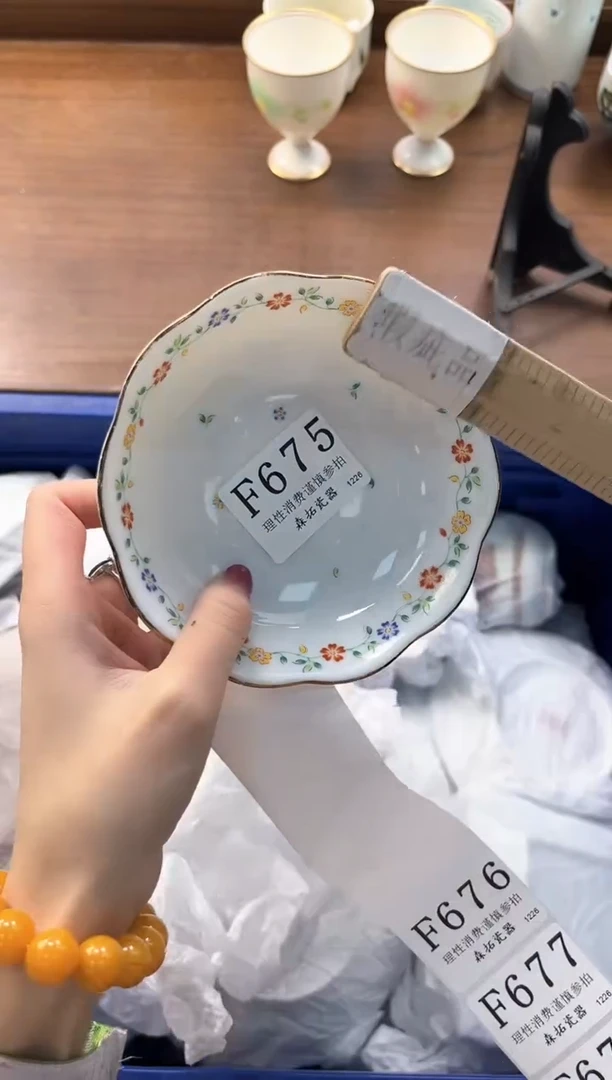 【闪购商品】瓷片----------F675