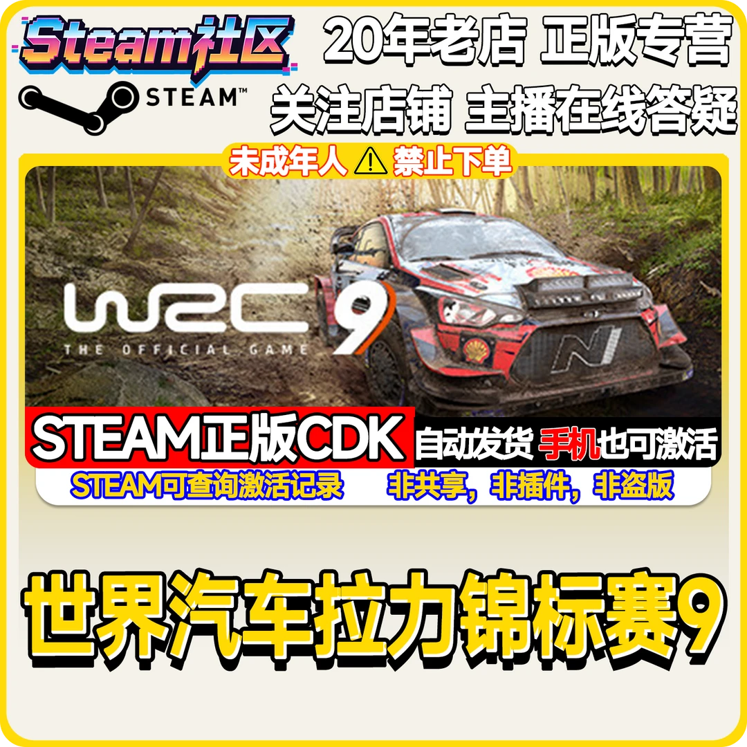 WRC 9 世界汽车拉力锦标赛9 Steam 国区适用 PC游戏激活码