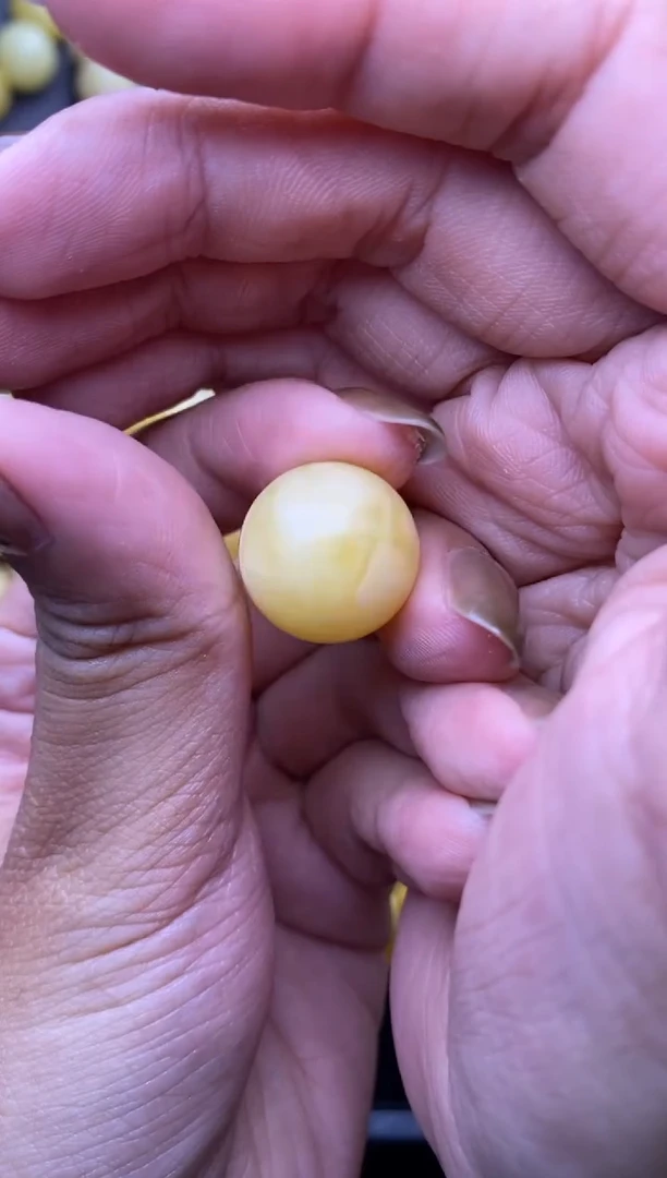 裸石琥珀未镶嵌大小姐珠宝90