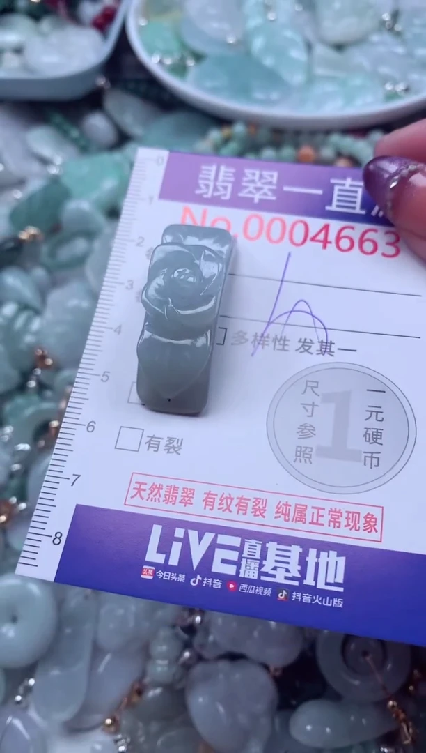 翡翠未镶嵌吊坠(不含链)4663