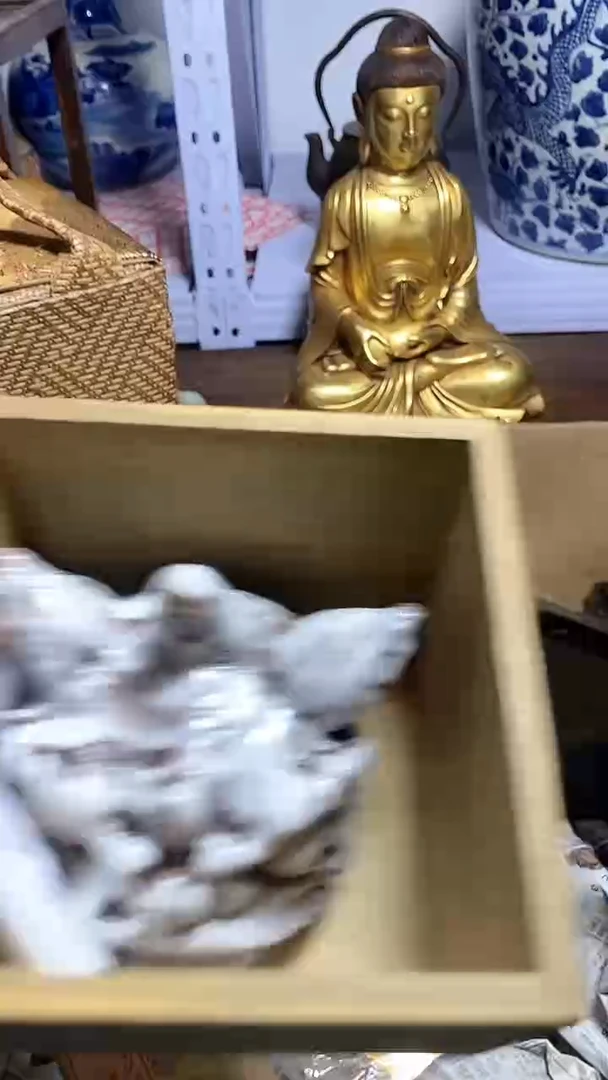 【闪购商品】瓷器瓷器瓷器瓷器