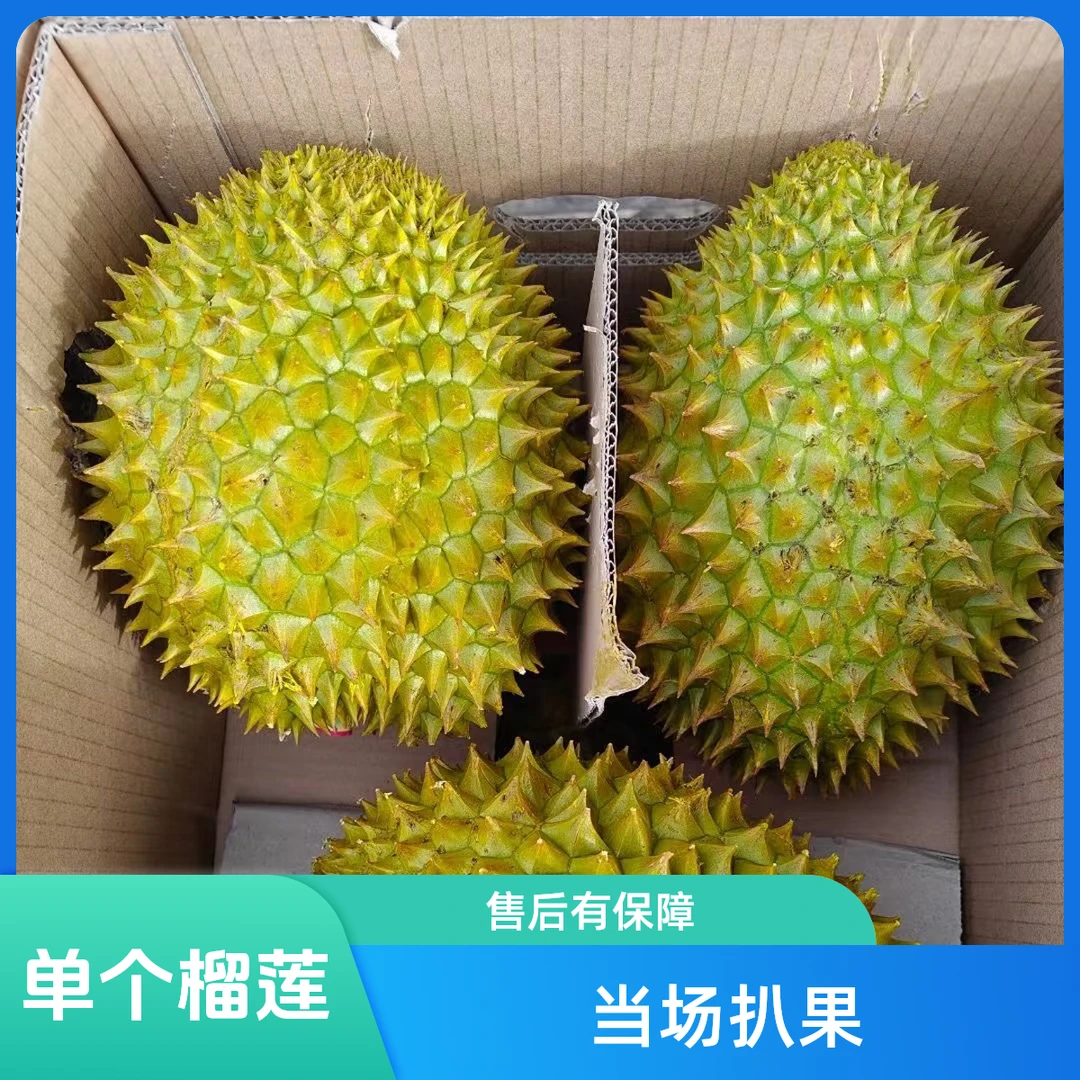 干尧榴莲一个 一物一拍 默认扒果鲜榴莲2-10斤(核大)干尧越南