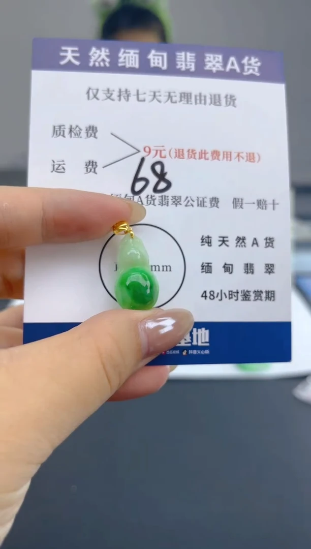 颈饰18K金镶嵌翡翠天然A货翡翠