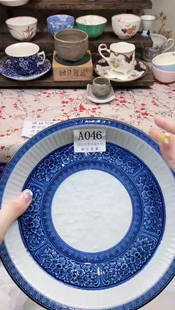 瓷片                A046