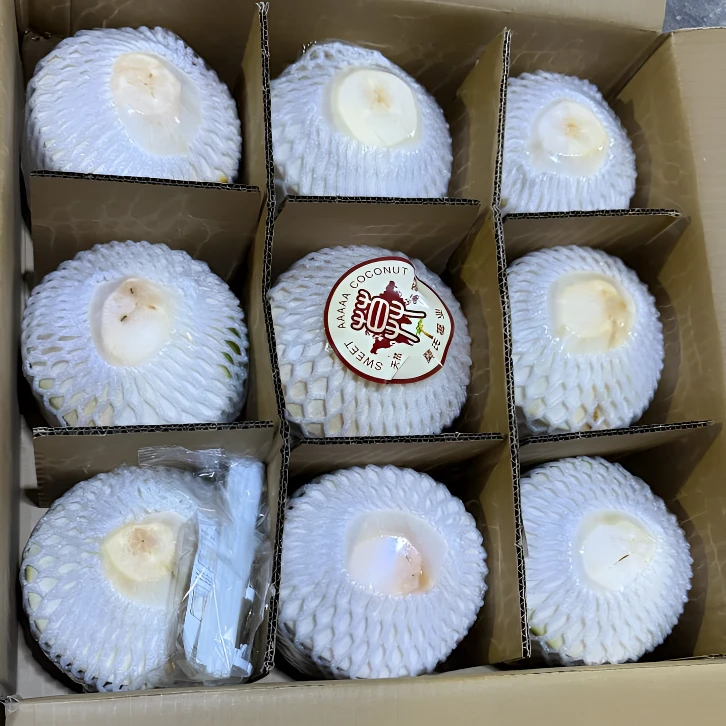 海南新鲜椰青精选大果9个装(送开椰器+吸管）椰青新鲜椰子水果生鲜