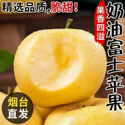 【2026年鲜果】山东烟台新鲜奶油富士苹果酸甜脆爽可口苹果产