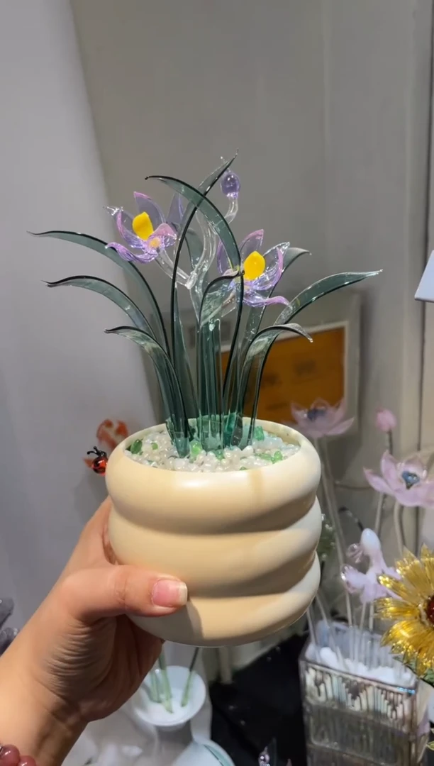 丽*兰花盆栽紫色