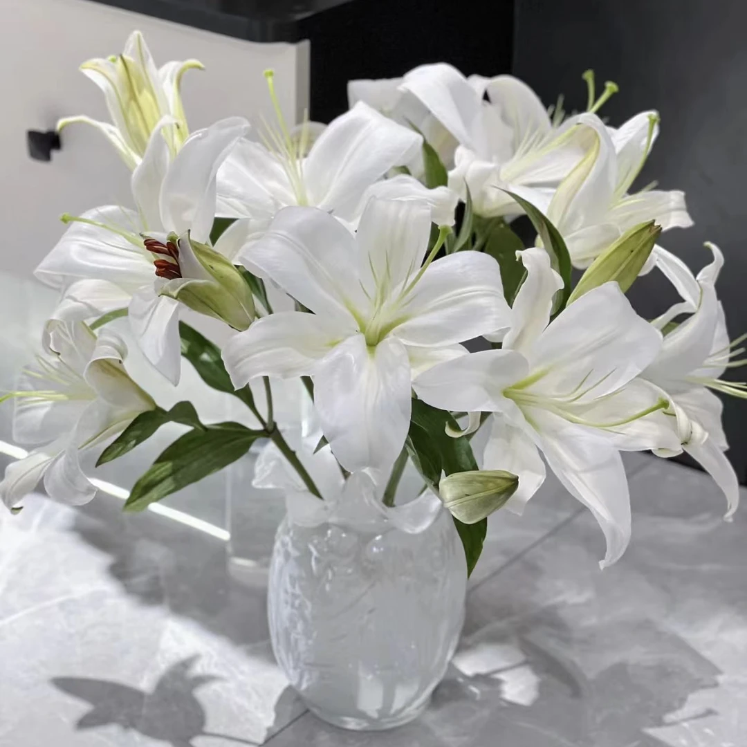 【花领域】赞比西香水百合【同地址任意两单顺丰包邮，鲜花20%不售后】