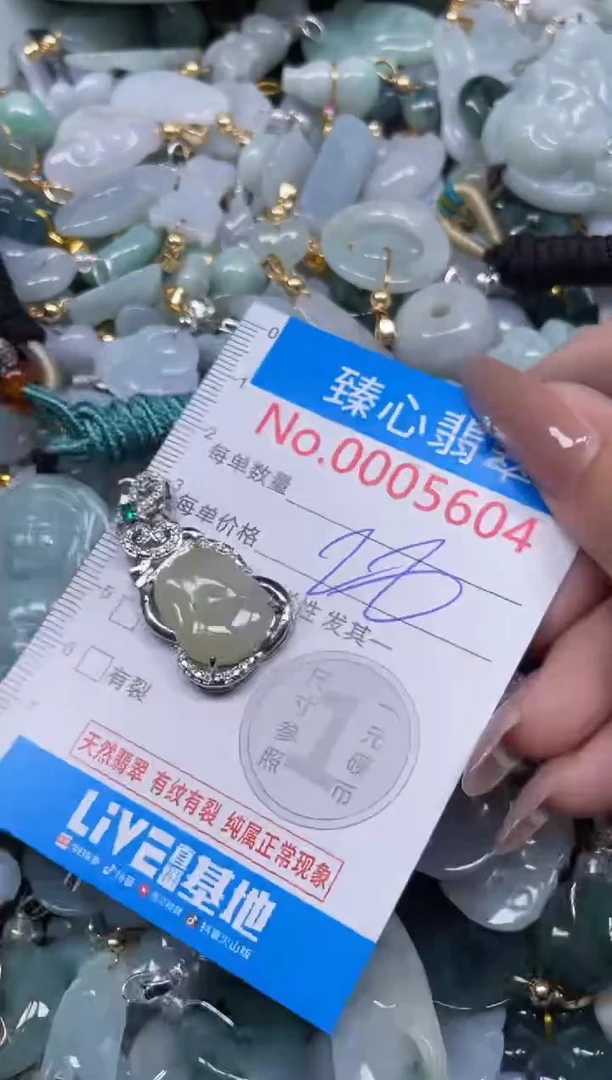 颈饰未镶嵌翡翠5604