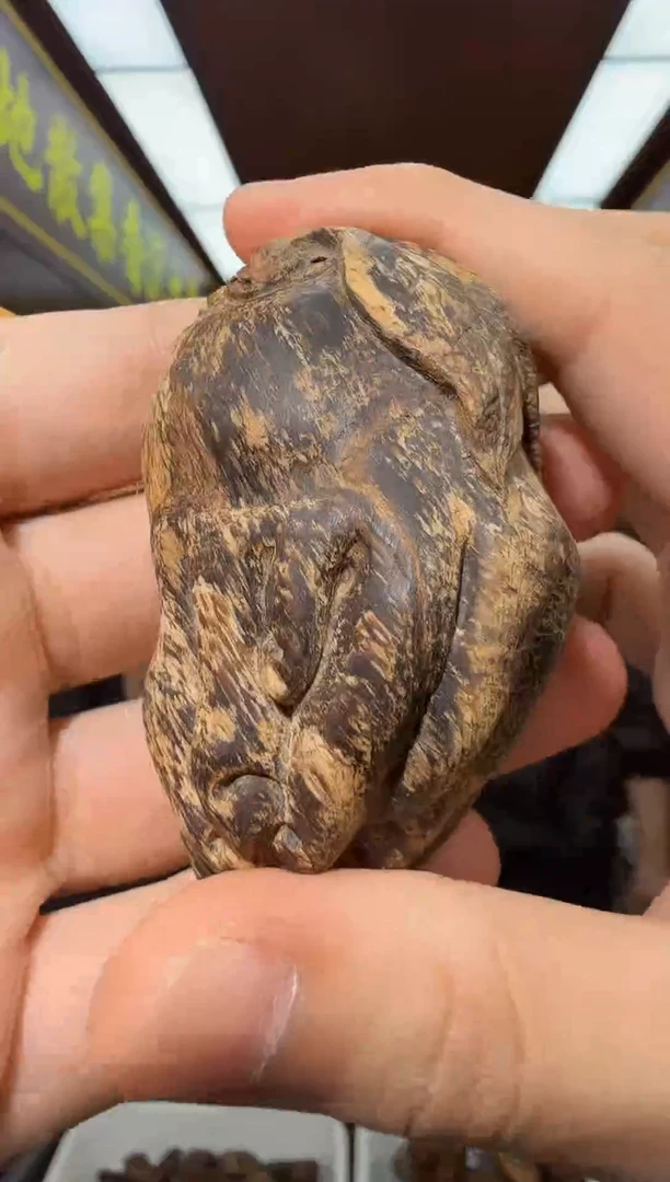 沉香吊坠34号香港大屿山黄棋多样性发一