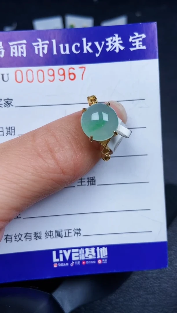 翡翠银S925镶嵌颈饰9967
