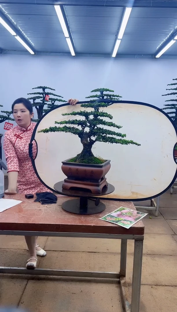 一物一拍，所见即所得