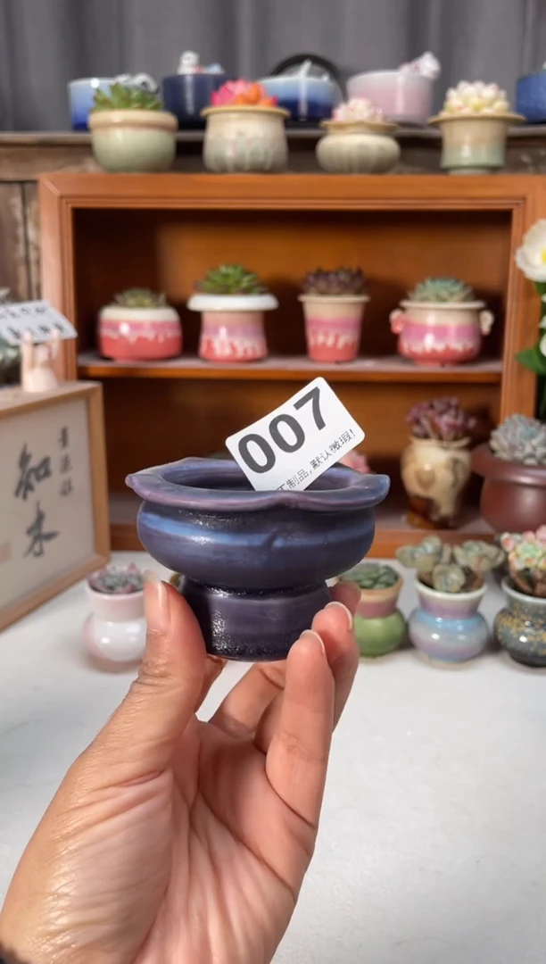 瓷片007知木小芳花盆