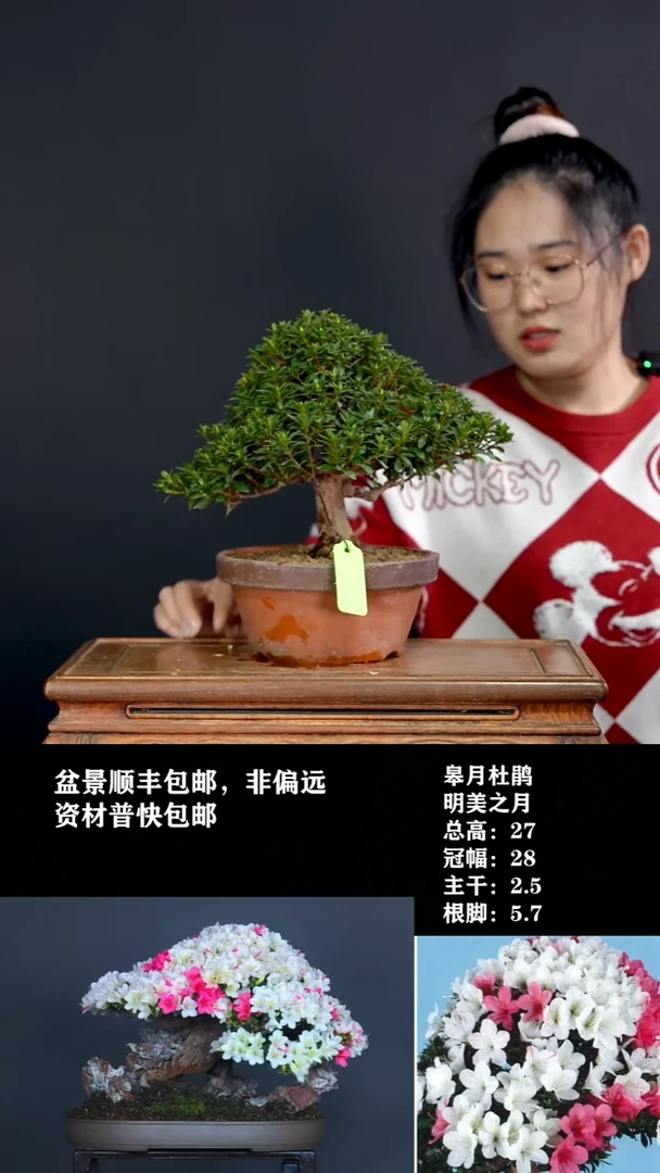 无花朵星**风明美之月-G7805