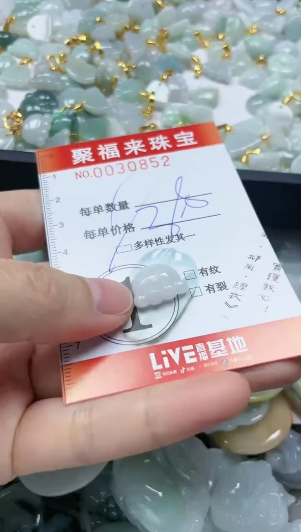 【闪购商品】翡翠颈饰未镶嵌闪购0030852多样性发其一