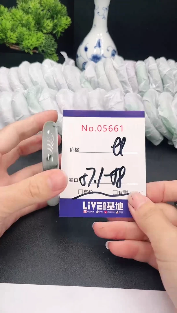 未镶嵌手镯翡翠5661