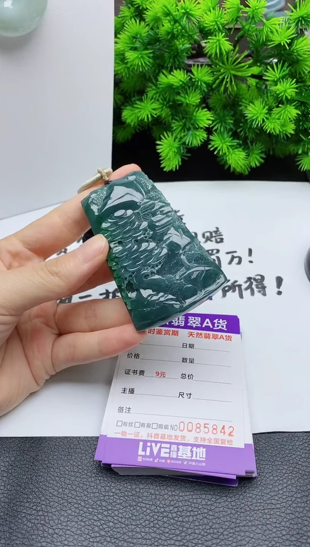 翡翠未镶嵌颈饰