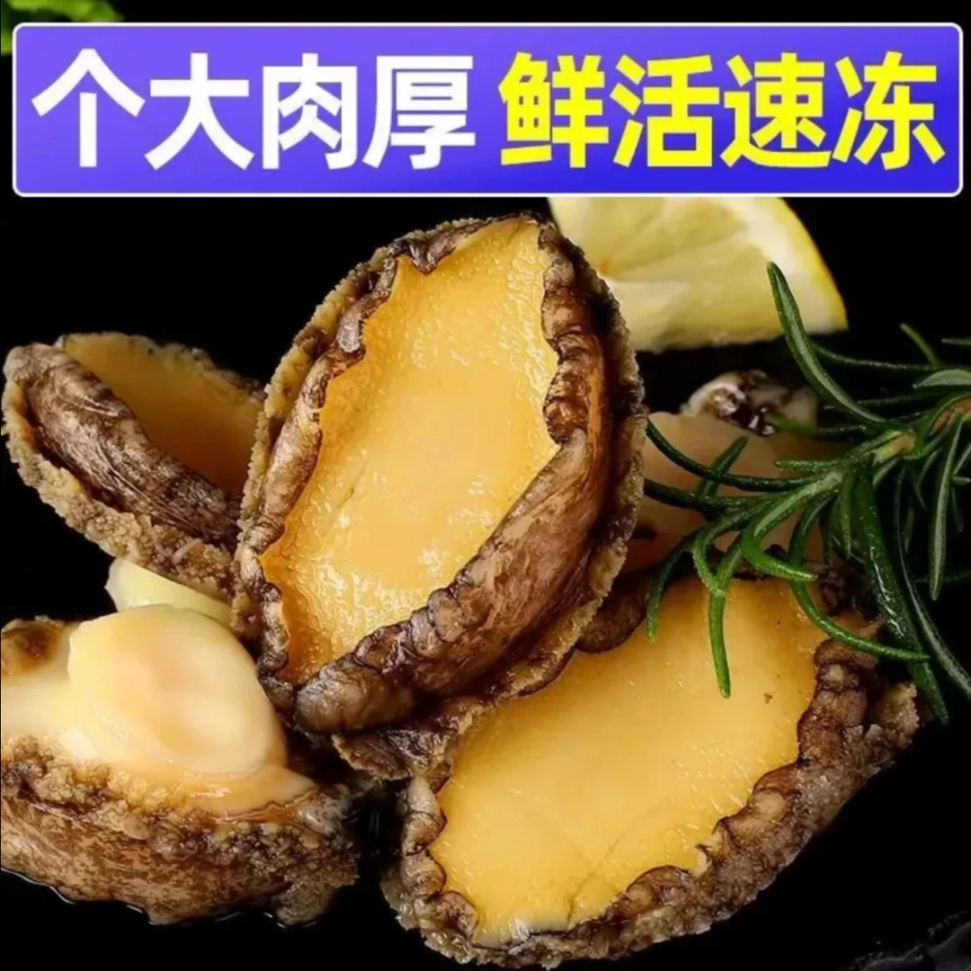 【顺丰冷链】大号鲍鱼肉 5-6厘米 纯肉速冻 红烧炖肉 生鲜 海鲜水产