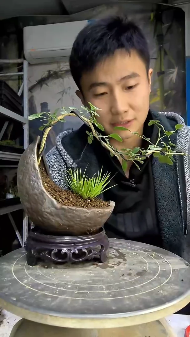 次**开中青园艺一物一拍82