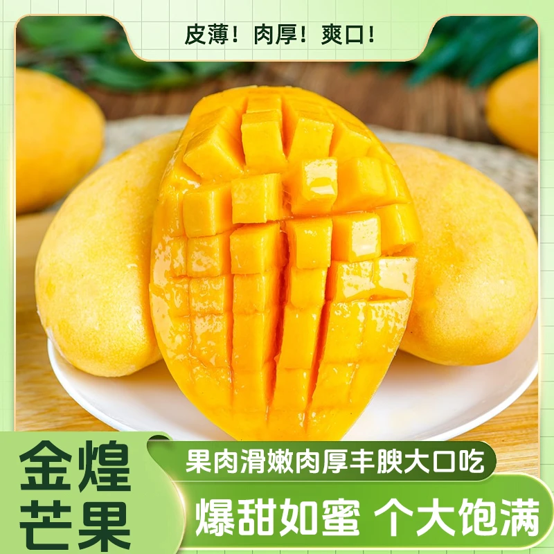 云南【金煌芒】5斤9斤新鲜芒果当季水果产地发货金煌芒果
