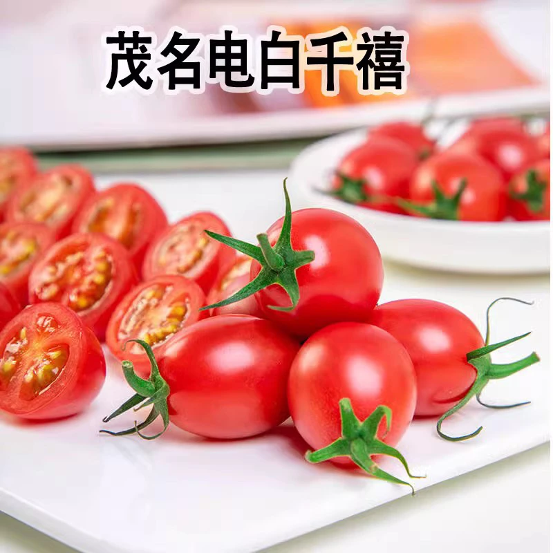 【红星直发】正宗广东电白千禧净果2斤装 顺丰包邮优质农产品小番茄千禧果千禧圣女果广东省