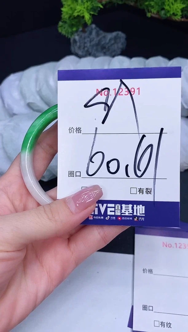 未镶嵌手镯翡翠12391