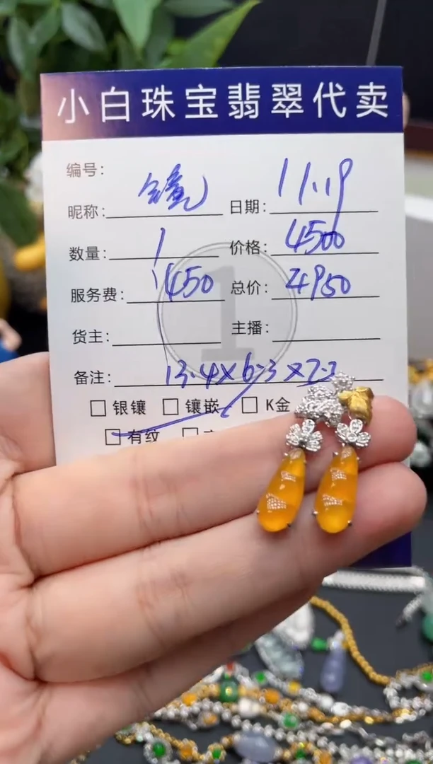 18K金镶嵌翡翠耳饰镜**界耳饰
