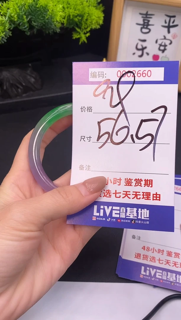 未镶嵌手镯翡翠0002660