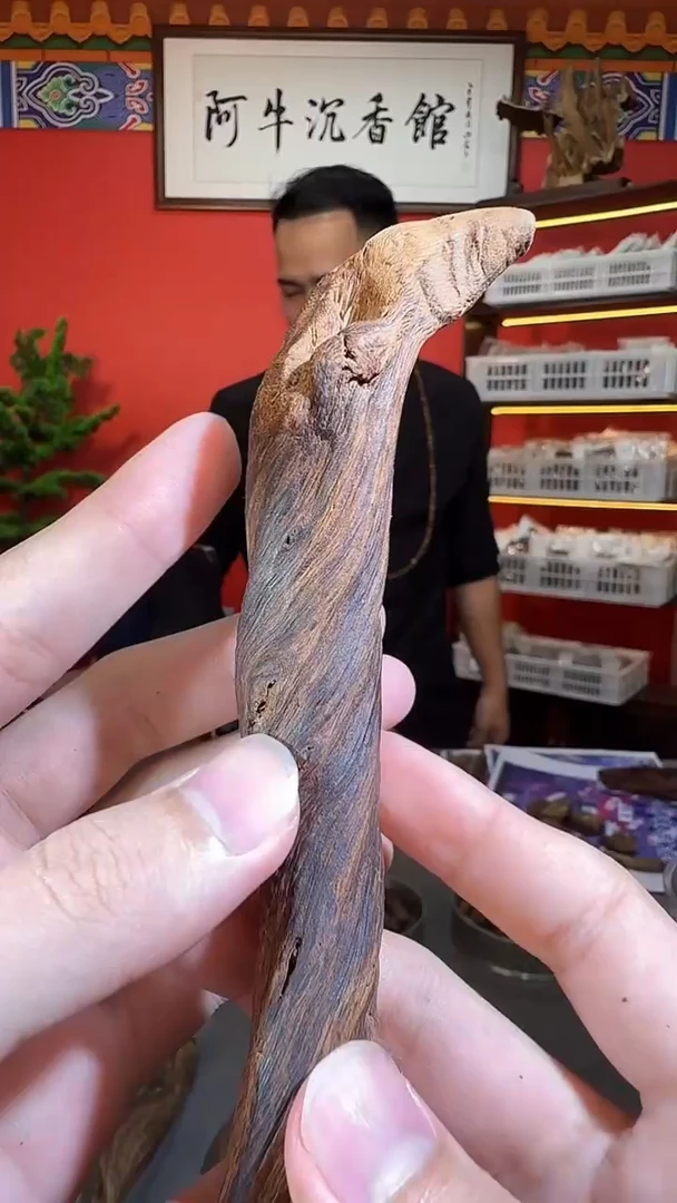 沉香吊坠51号富森树根多样性发一