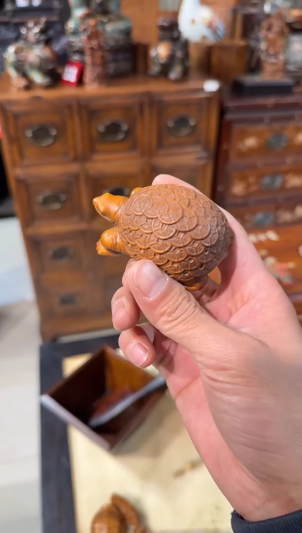 木木头款黄杨金钱龟68
