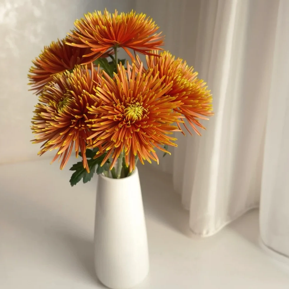 【我种花】流霞烟花菊A级稀有长花期云南鲜花基地直发可水培插花