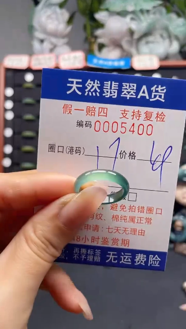 未镶嵌戒指翡翠17*5400