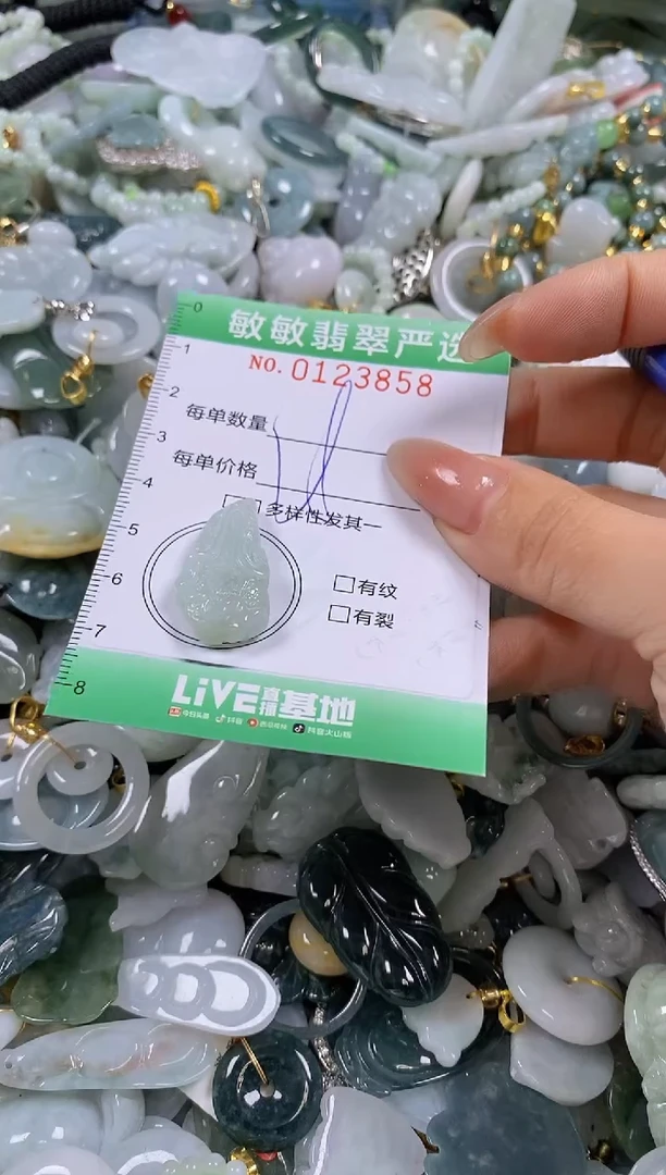 【闪购商品】翡翠颈饰未镶嵌闪购0123858