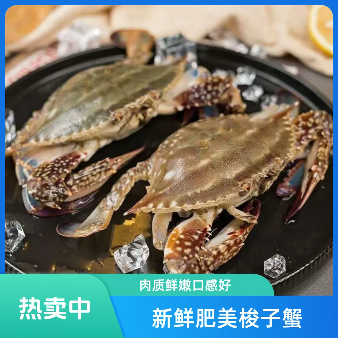 【保鲜不保活】【活发/不是冻蟹】鲜活梭子蟹 2-6两/只 3斤/5斤梭子蟹同城