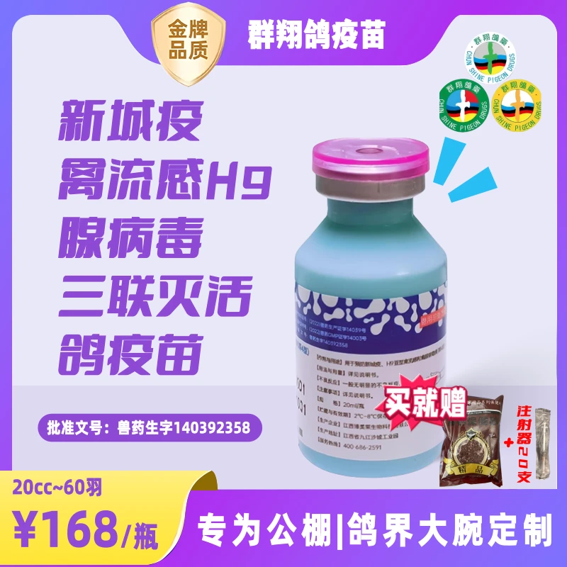 群翔疫苗鸽子赛鸽专用新城疫腺病毒病禽流感(H9)三联灭活疫苗多防