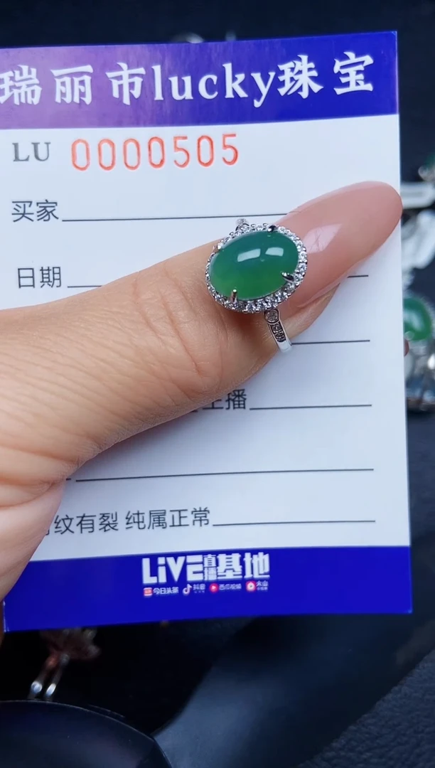 翡翠银S925镶嵌颈饰0505