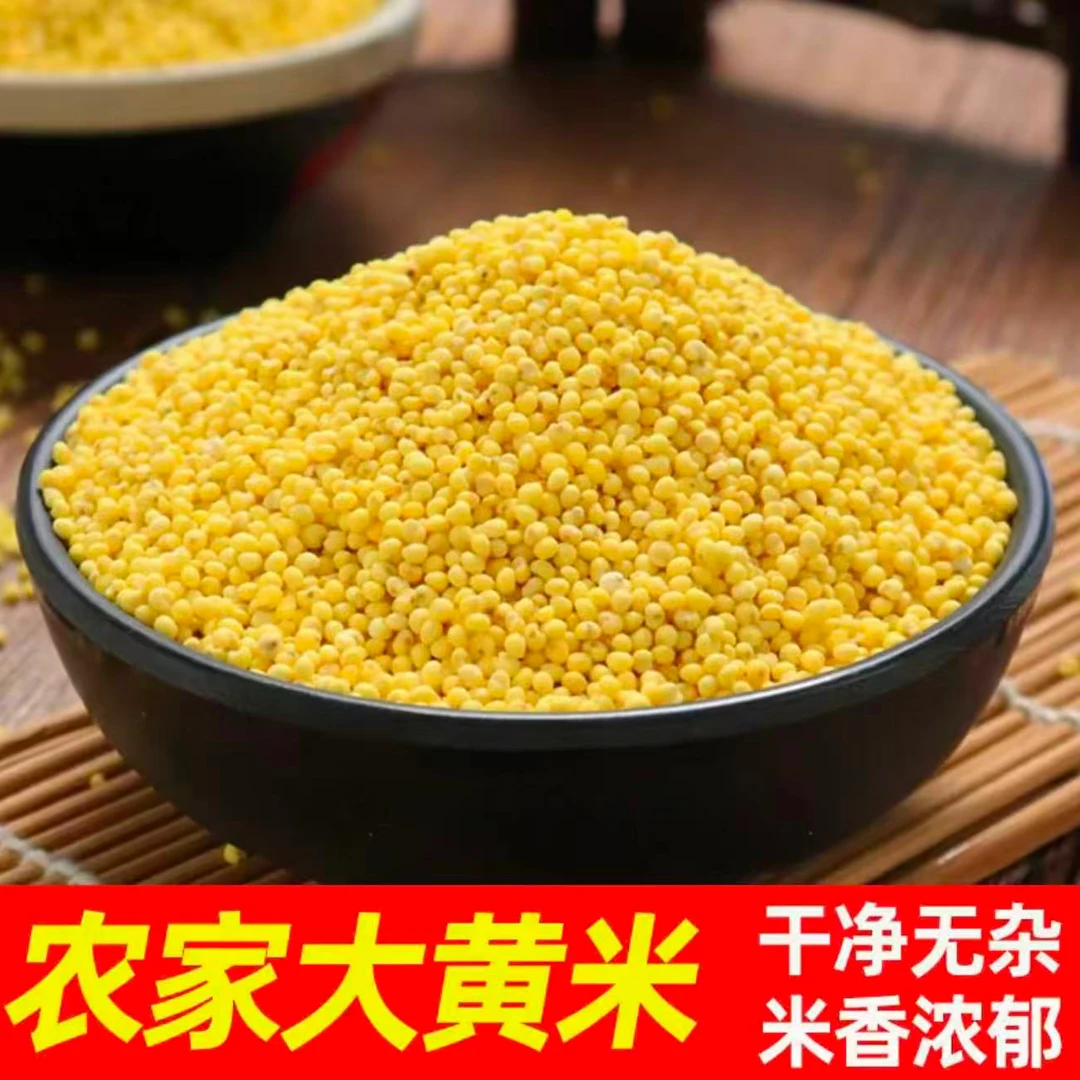 2025年陕北大黄米 蒸米饭米 硬黄米5斤装包邮