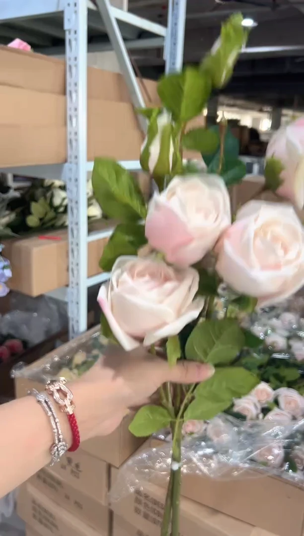 2枝香槟色手感保湿芬兰