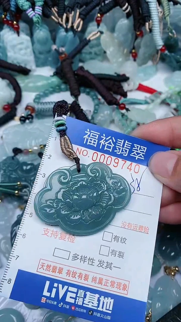 【闪购商品】翡翠颈饰未镶嵌...0009740