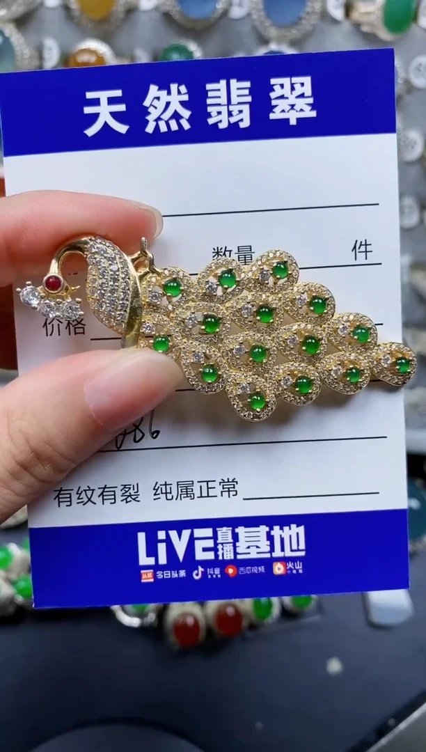 翡翠银S925镶嵌颈饰686