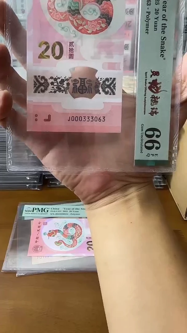 塑料000333063-蛇钞单张